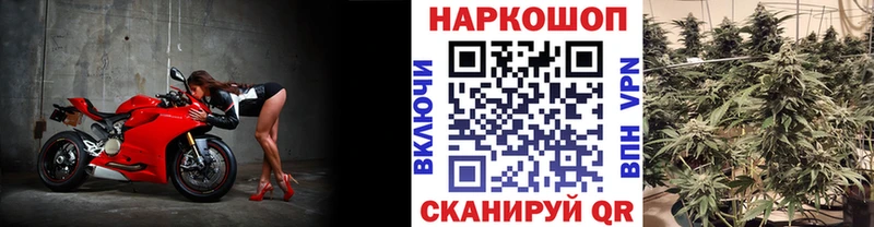Марихуана Великие Луки