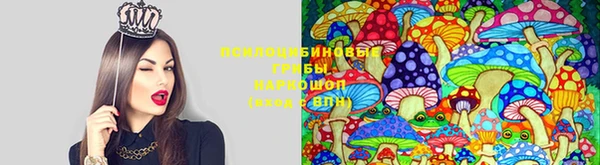 молекула духа Балабаново