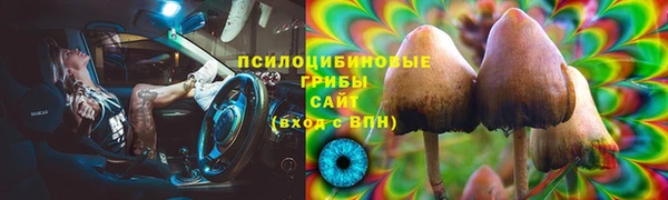 молекула духа Балабаново