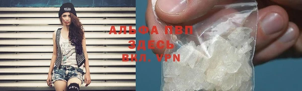 шишки Баксан