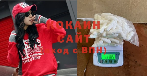 сатива Ростов